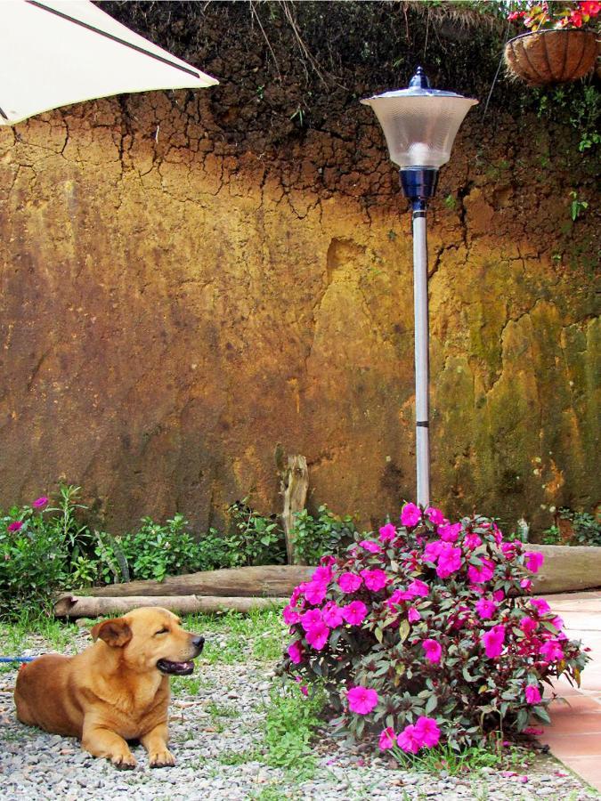 Carmen de Viboral Vista Hermosa Eco Hostal מראה חיצוני תמונה
