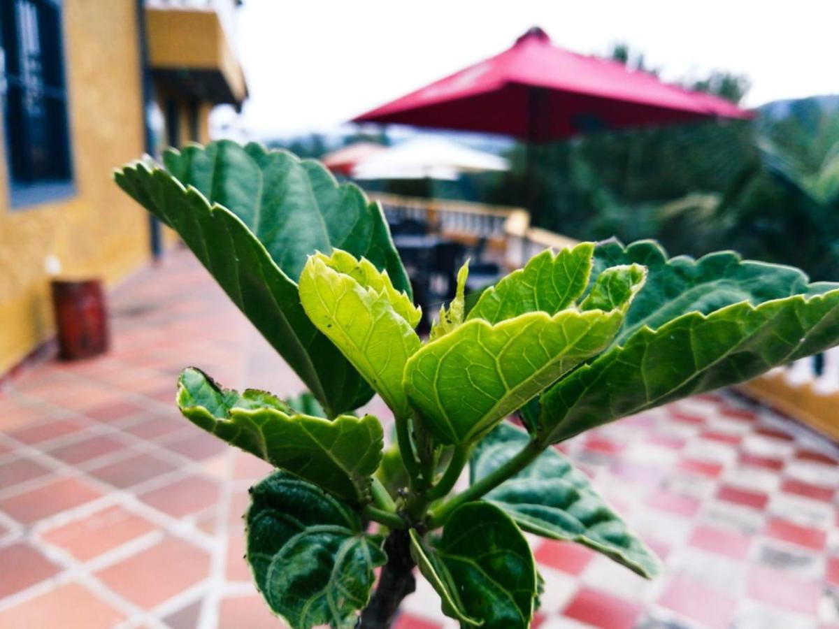 Carmen de Viboral Vista Hermosa Eco Hostal מראה חיצוני תמונה